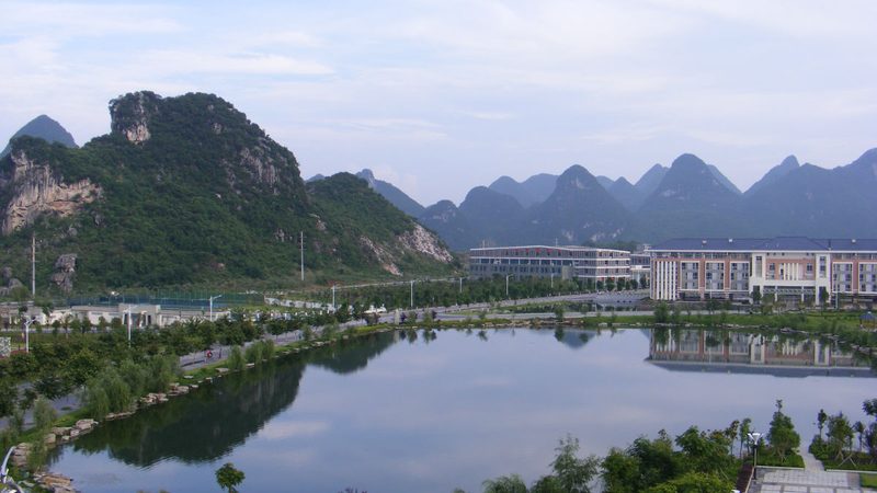 成都电子配件批发：优劣势解析与选购要点